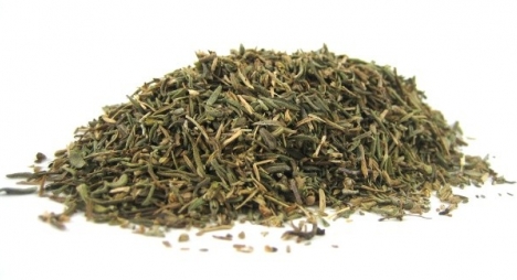 Cỏ xạ hương Thyme 