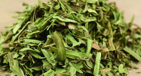 Lá ngải giấm Tarragon