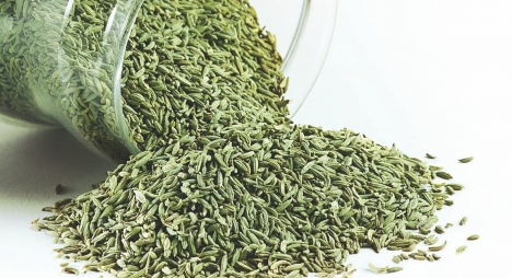 Hạt cây thì là Fennel 